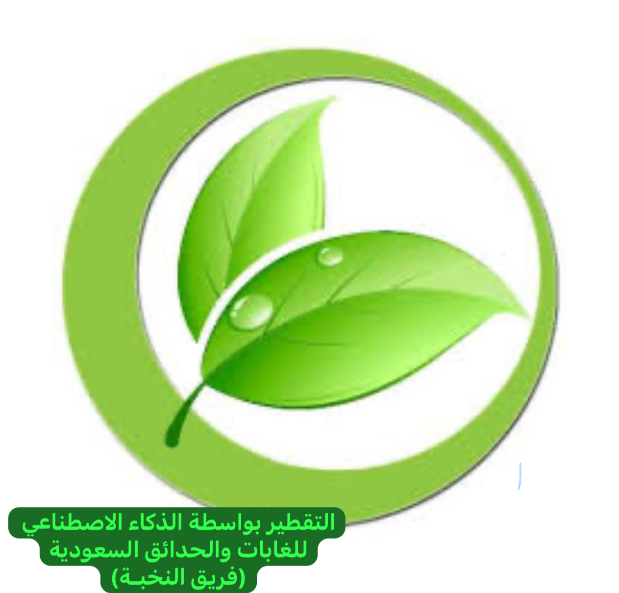 شعار المبادرة